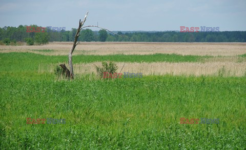 Podlasie Marek Bazak