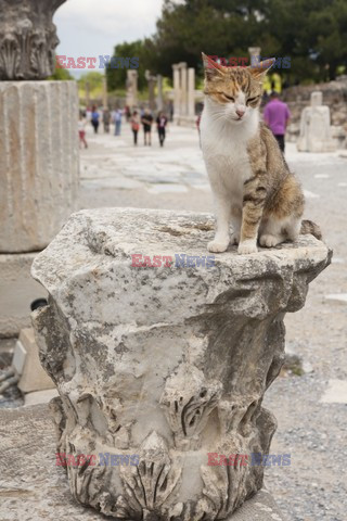 Turkey reportage