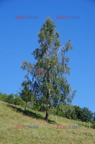 Dolnośląskie MaBa