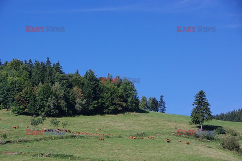 Dolnośląskie MaBa