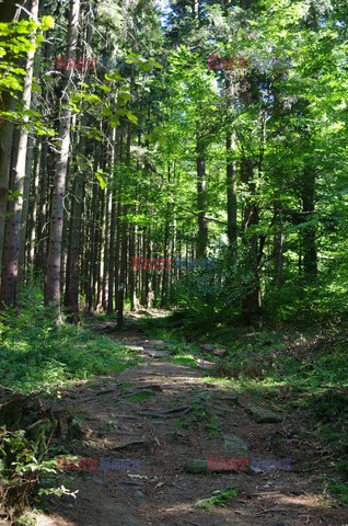 Dolnośląskie MaBa