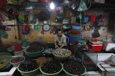 Obrazki z Hanoi