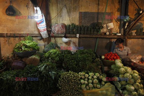 Scenes from Hanoi