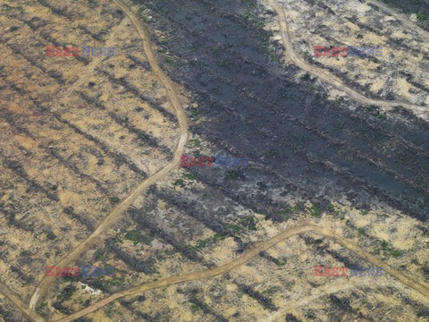 Aerial images of cityscape, landscape, and agriculture in Johor, Malaysia