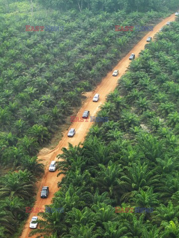 Aerial images of cityscape, landscape, and agriculture in Johor, Malaysia