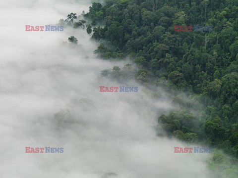 Aerial images of cityscape, landscape, and agriculture in Johor, Malaysia