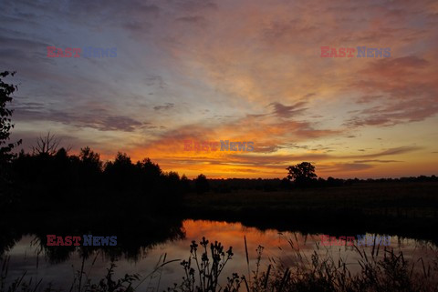 Podlasie Marek Bazak