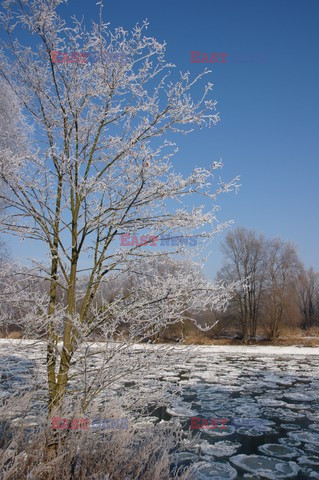 Dolnośląskie MaBa