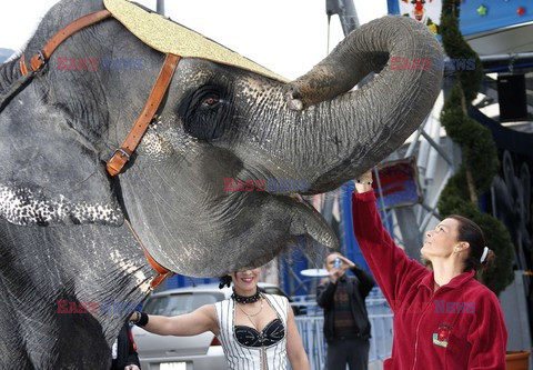 Princess Stephanie of Monaco poses with an elephant