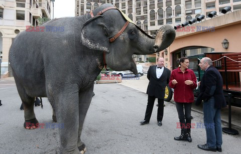 Princess Stephanie of Monaco poses with an elephant