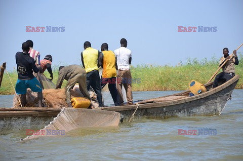 Crisis in Cameroon