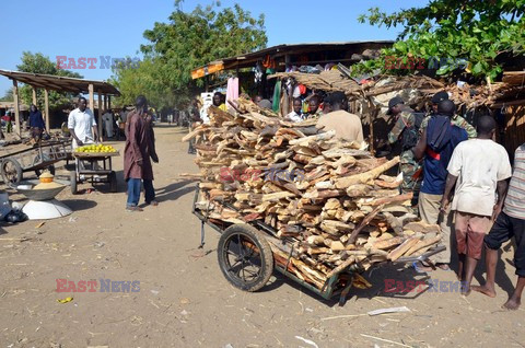 Crisis in Cameroon