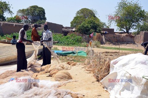 Crisis in Cameroon