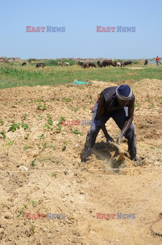 Crisis in Cameroon