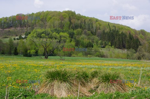 Podkarpackie MaBa