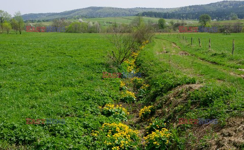 Podkarpackie MaBa