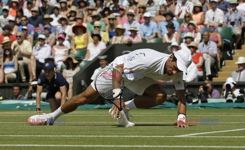 Wimbledon 2013