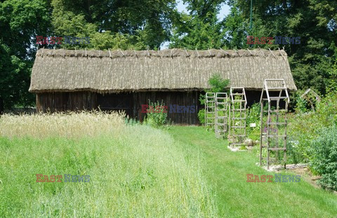 Podlasie Marek Bazak