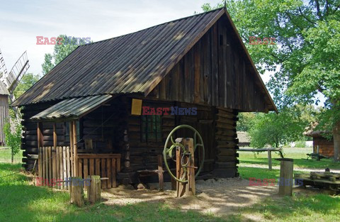 Podlasie Marek Bazak