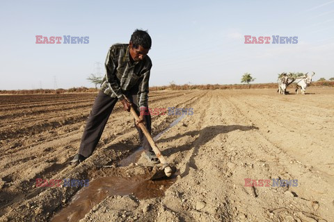 Rural Gujarat - India