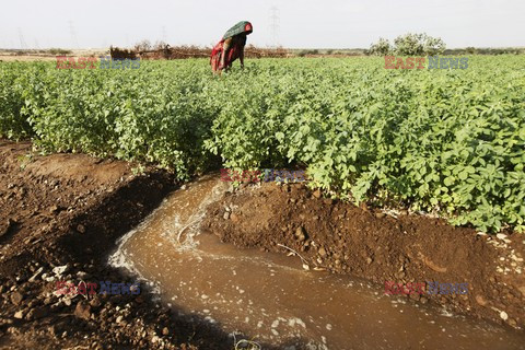 Rural Gujarat - India