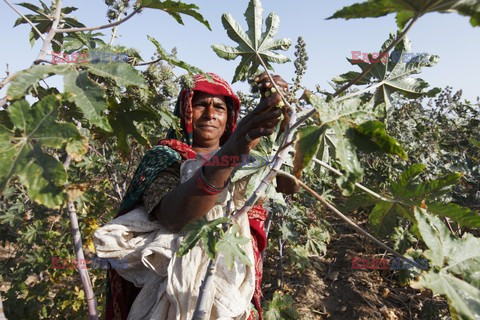 Rural Gujarat - India