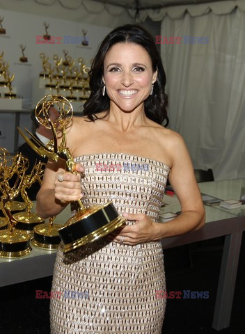 Emmy 2013 - nagrodzeni