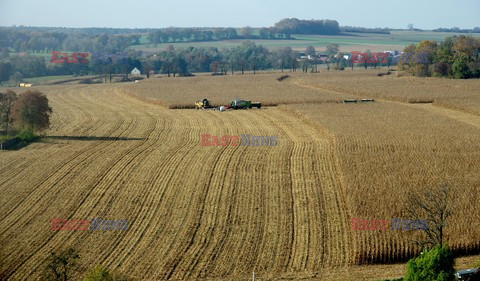 Śląskie MaBa