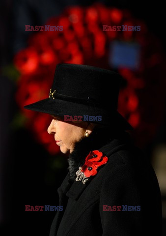 Poppy Day w Wielkiej Brytanii