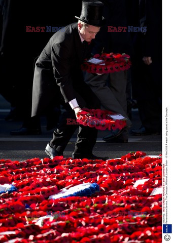 Poppy Day w Wielkiej Brytanii