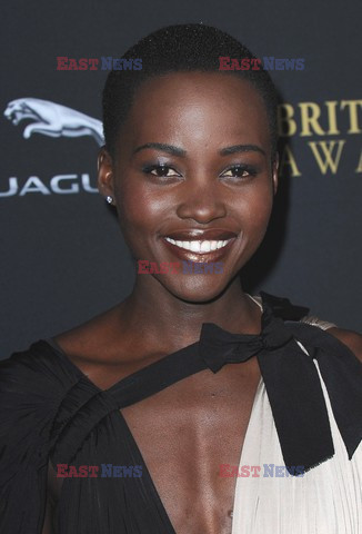 2013 BAFTA LA Jaguar Britannia Awards 