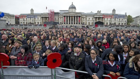 Poppy Day w Wielkiej Brytanii