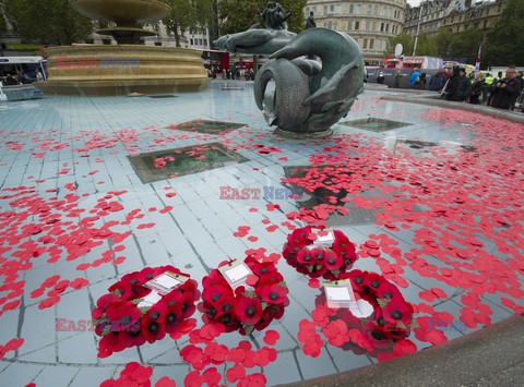 Poppy Day w Wielkiej Brytanii