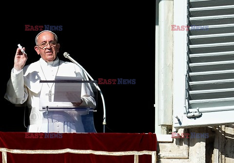 Papież Franciszek poleca miserikordynę