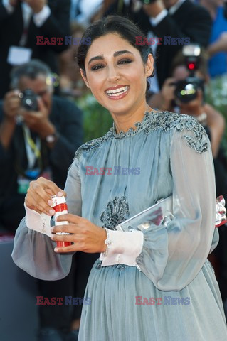 Venice International Film Festival 