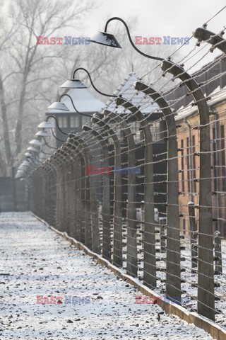 69. rocznica wyzwolenia Auschwitz