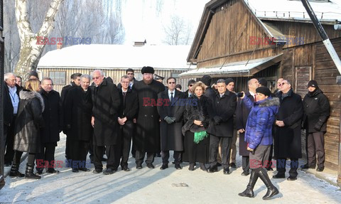 69. rocznica wyzwolenia Auschwitz