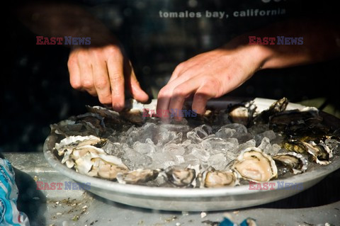 Hog Island Oyster Company