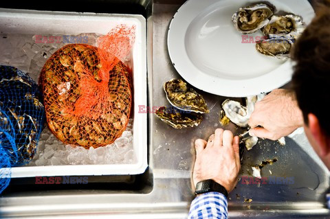 Hog Island Oyster Company