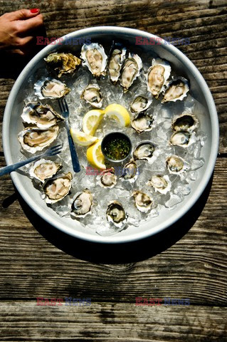 Hog Island Oyster Company