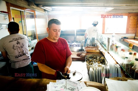 Hog Island Oyster Company