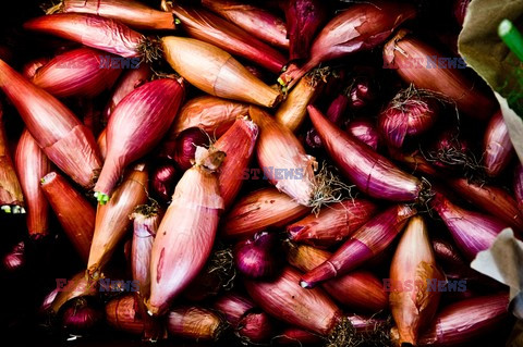 Point Reyes Farmers Market