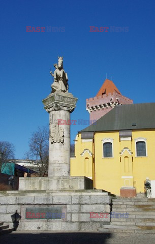 Wielkopolska Marek Bazak