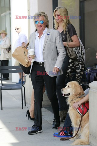 Rod Stewart i Penny Lancaster na zakupach