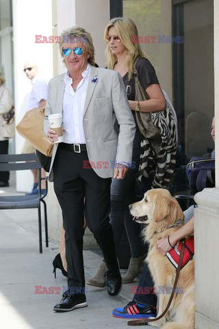 Rod Stewart i Penny Lancaster na zakupach