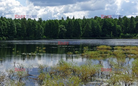 Podlasie Marek Bazak