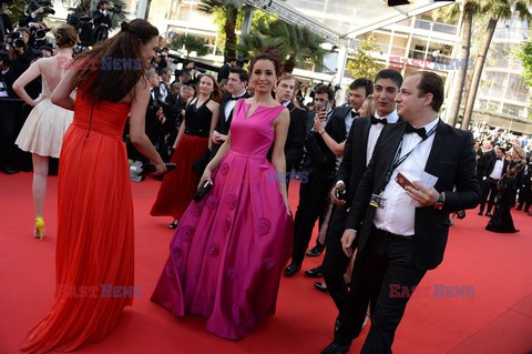 Cannes 2014 - premiera filmu Homesman