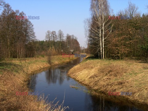 Puszcza Kampinoska KCh