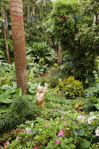 Ogród plantatora na Barbados - Andreas Von Einsiedel