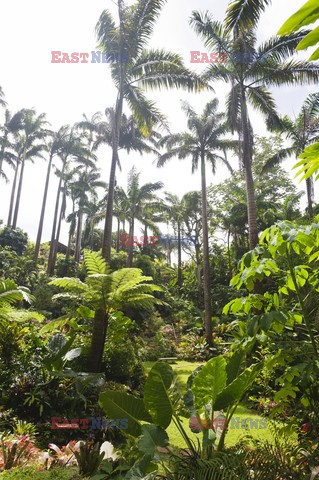 Ogród plantatora na Barbados - Andreas Von Einsiedel